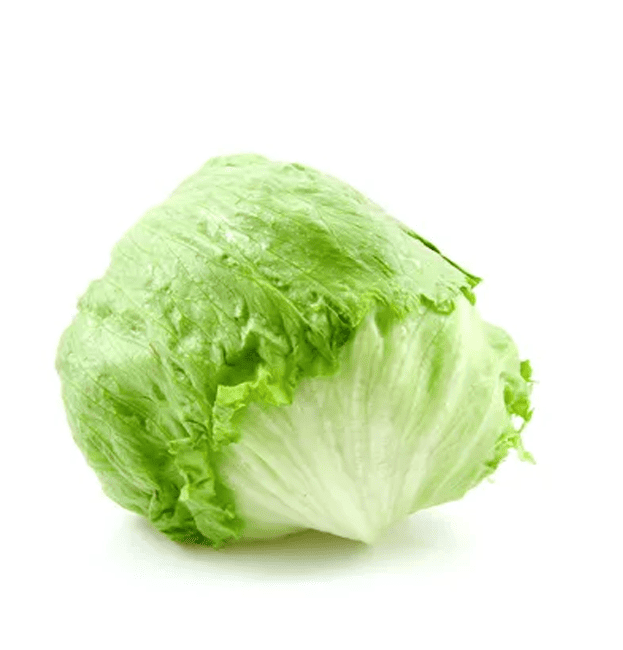 Lechuga Repollada
