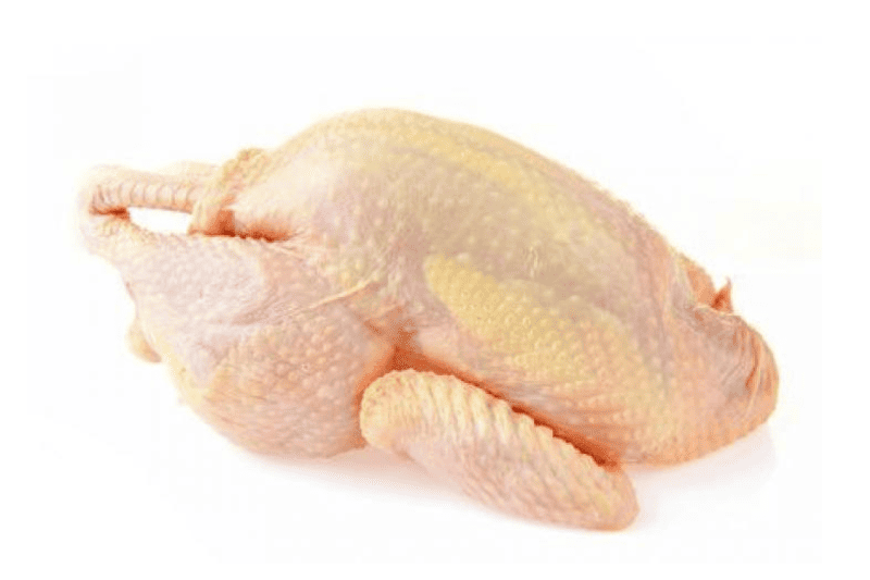 Gallina Criolla