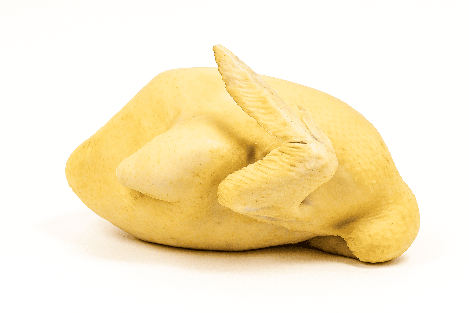 Pato Criollo