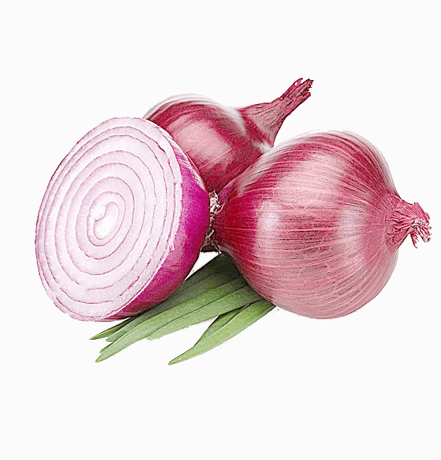 Cebolla